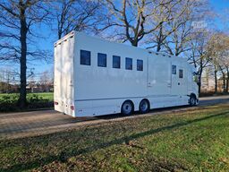 Volvo FH Middle East Specs Volvo FH 420 9 paarden, mi...