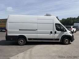 FIAT DUCATO 250 KüHLTRANSPORTER, MOTORSCHADEN