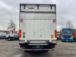 Renault Midlum 220 THERMO KING TS-300,  CHEREAU, MANUAL