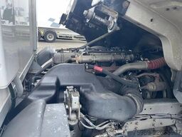Renault Midlum 220 THERMO KING TS-300,  CHEREAU, MANUAL