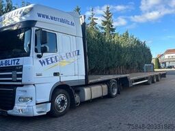 KOTSCHENREUTHER STL 324-Bereifung 215/75R17,5-Lenkachse