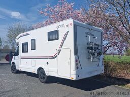 Giottiline Siena  385