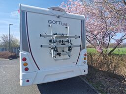 Giottiline Siena  385