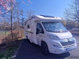 Giottiline Siena  385