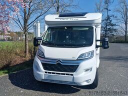 Giottiline Siena  385