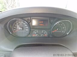 Giottiline Siena  385