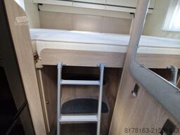 Giottiline Siena  385