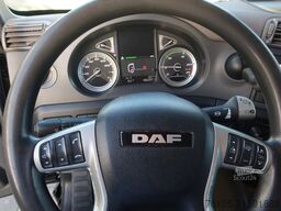 DAF CF 410 DAF CF 410 Black Edition Dhollandia klep...