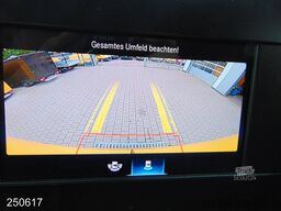 MERCEDES-BENZ Sprinter 314 CDI KLIMA-KAMERA-REGALSYSTEM
