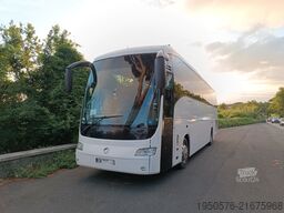 Irisbus Domino
