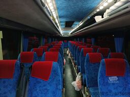 Irisbus Domino