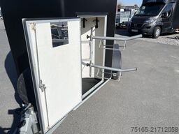 andere Gold V2 Pferdeanhänger