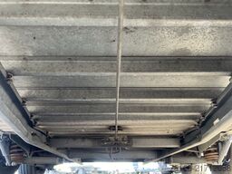 andere Gold V2 Pferdeanhänger