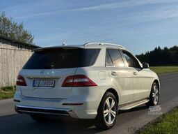 MERCEDES-BENZ ML 250 ML ML 250 CDI BlueTec//19500¤