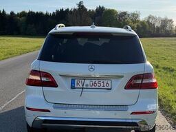 MERCEDES-BENZ ML 250 ML ML 250 CDI BlueTec//19500¤