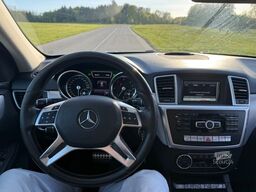 MERCEDES-BENZ ML 250 ML ML 250 CDI BlueTec//19500¤