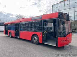 Solaris Urbino
