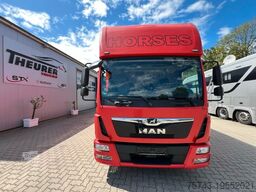 MAN 12250 4-5 Pferde Wohung