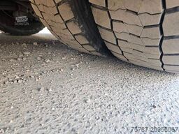 SCANIA R500, Retarder, Navi, Standklima, 19.000 Kg