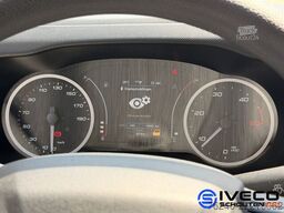Iveco Daily 35S16 A8 2.3L 160pk - Enkellucht - W4100 ...
