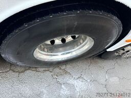 VAN HOOL TX17 Acron | Panorama-Glasdach