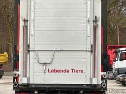 SCANIA R500 6x2/4 LL 4.Stock Menke Tränke Hubdach