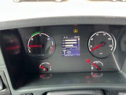 SCANIA P 250 4X2, EDSCHA-VERDECK, VOLL-LUFT, E6, JUMBO