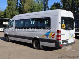 Mercedes-Benz Sprinter/EVM Limited / Euro 5 / Manual gearbox