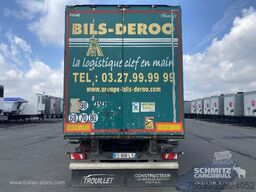 Trouillet Semitrailer Dryfreight Standard