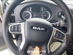 DAF DAF - DAF XF 106/480