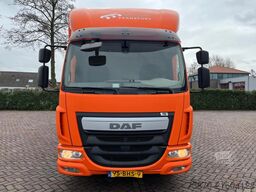 DAF LF 210 FA