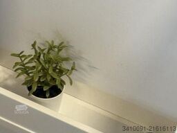 LMC Innovan Pure 600 Auto. RFK Markise