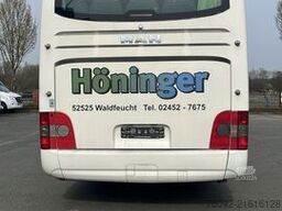 MAN R08 Lions Coach L (57 Sitze*TOP)