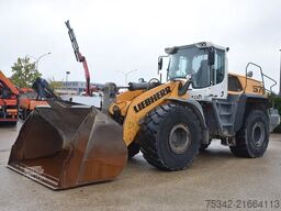 Liebherr L576 X power
