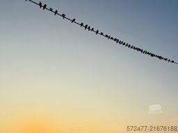 Fiat Ducato La Strada Avanti S