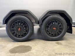 Böckmann Champion Esprit TKL MSS Pferdeanhänger