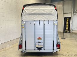 Böckmann Champion Esprit TKL MSS Pferdeanhänger