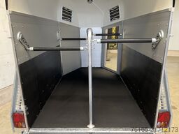 Böckmann Champion Esprit TKL MSS Pferdeanhänger