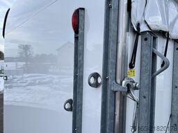 Böckmann Comfort Neu Pferdeanhänger