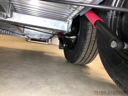 Böckmann Champion R ALF Pferdeanhänger