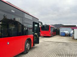 MERCEDES-BENZ O 530 Citaro Facelift LE 3-Türen Klima EEV