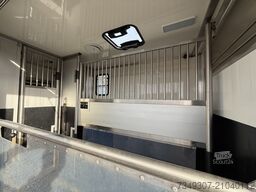 RENAULT MASTER PAARDENWAGEN | HORSETRUCK | TVW | STALLI...