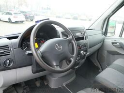 MERCEDES-BENZ 213 CDI Sprinter 4x2, 3. Sitz, Trennwand, Klima