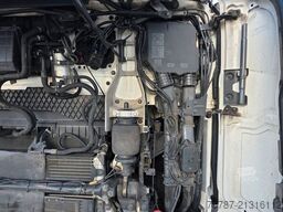 SCANIA S500 full option, Retrader, TV, Navi,Vollspoiler