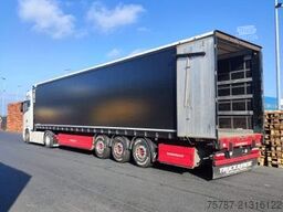 SCHWARZMÜLLER Gardine Standard,2xLiftachse,Alcoa LM,Palettenka