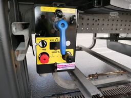 SCHMITZ CARGOBULL SKO 24/ SLXi300/ DS / BLUMEN / TRENNWAND/BI TEMP