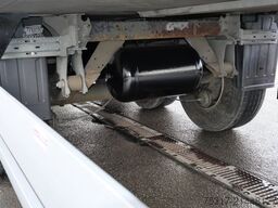 SCHMITZ CARGOBULL SKO 24/ SLXi300/ DS / BLUMEN / TRENNWAND/BI TEMP