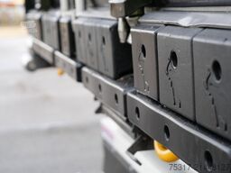 SCHMITZ CARGOBULL SKO 24/ SLXi300/ DS / BLUMEN / TRENNWAND/BI TEMP