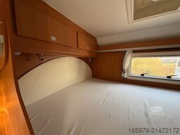 GIOTTILINE Therry T22