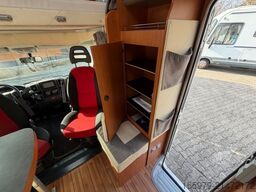 GIOTTILINE Therry T22